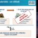 Climat : l’insoutenable usage de la vidéo en ligne – Maxime Efoui-Hess, The Shift Project